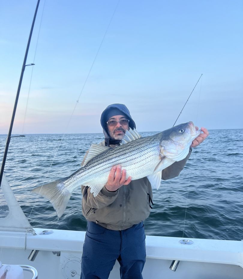 Striped Bass Caught in MD