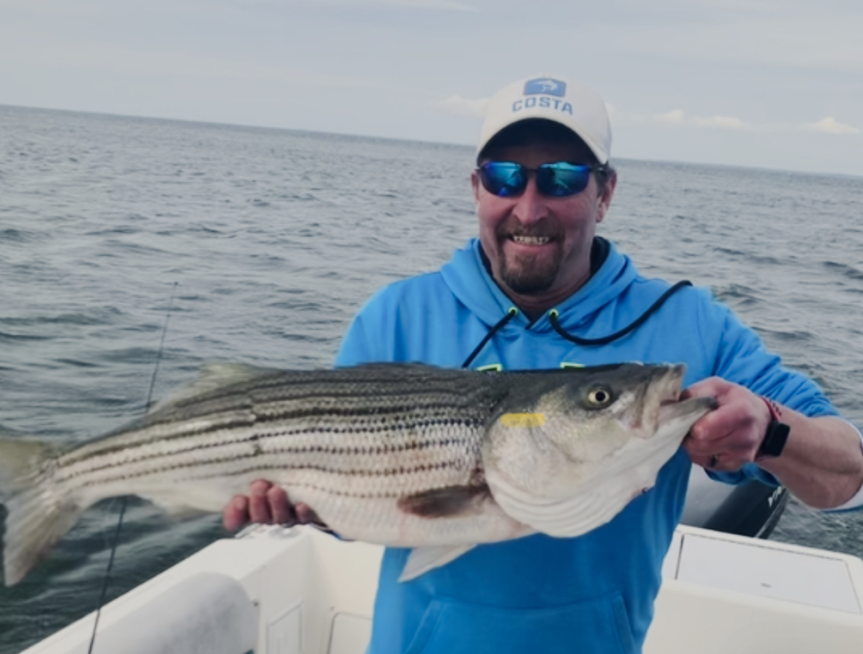 Striped bass caught while fishing in Saint Leonard