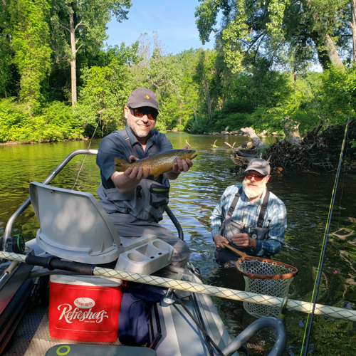 Fish-Species