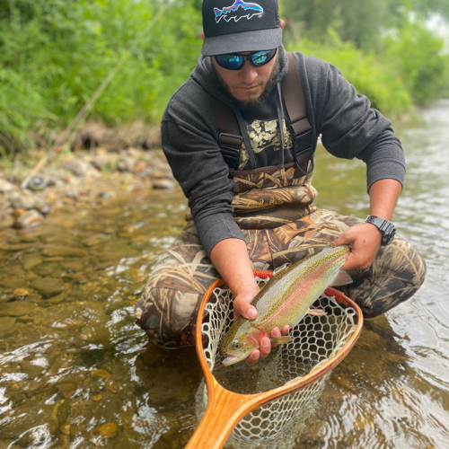 Fish-Species