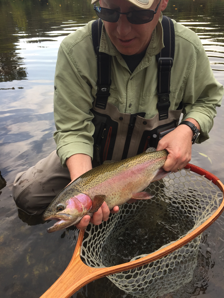 Southern Vermont Rainbow Trout