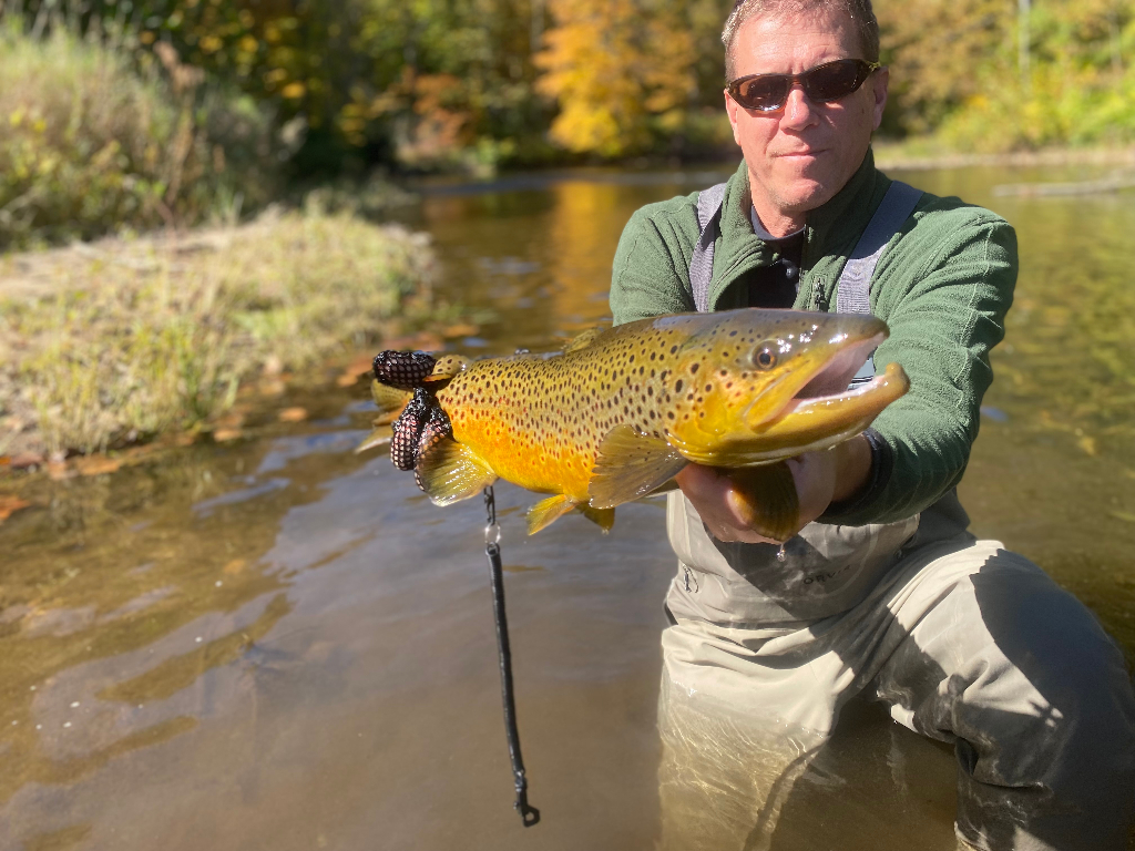 Big Fall Brown Southern Vermont