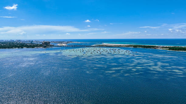 Fishing adventure in Florida