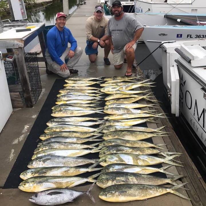 Five blackfin tuna fish caught in Key Largo