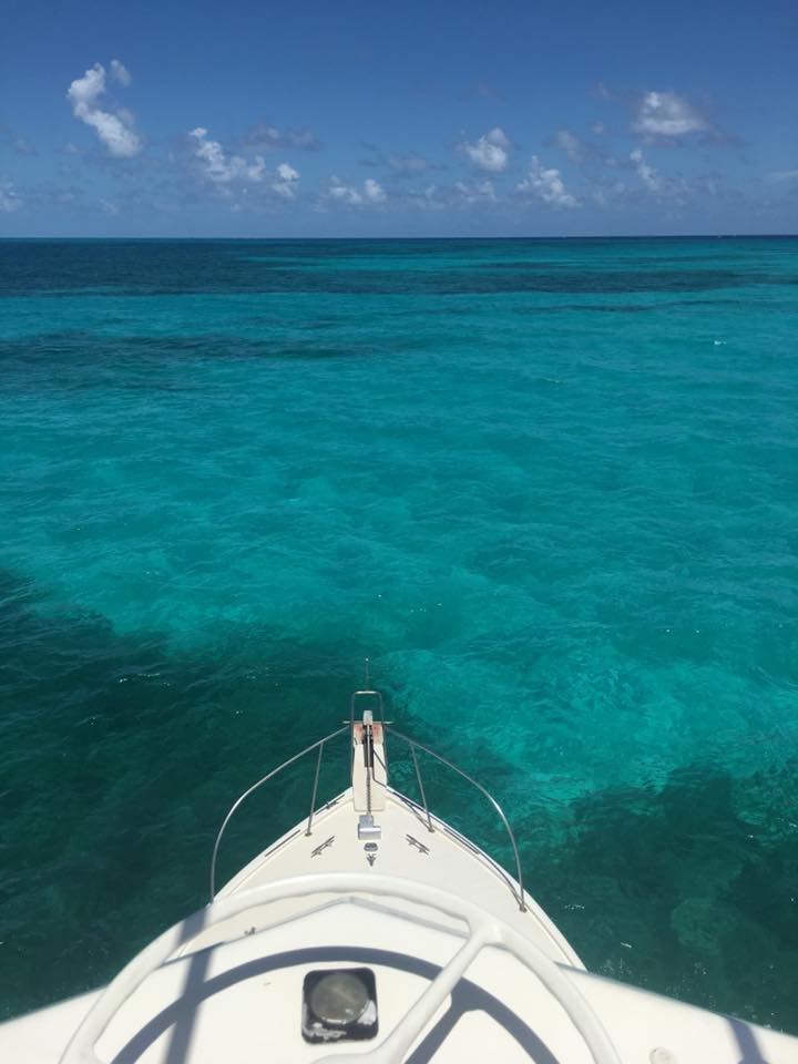Scenic view of tropical paradise in Key Largo
