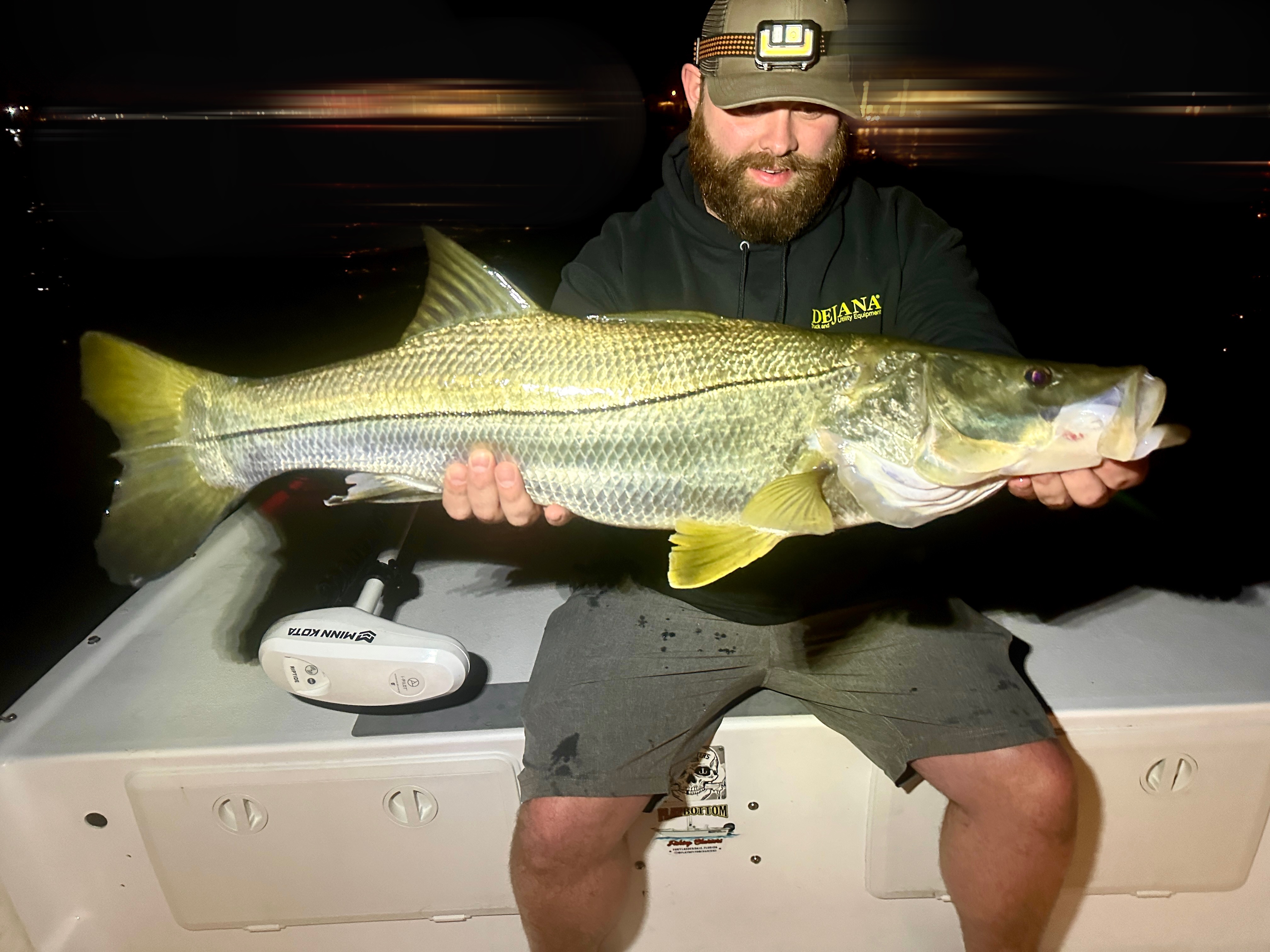 European seabass, 38-inch catch, fishing in FL