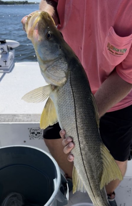 Snook fishing in Fort Lauderdale