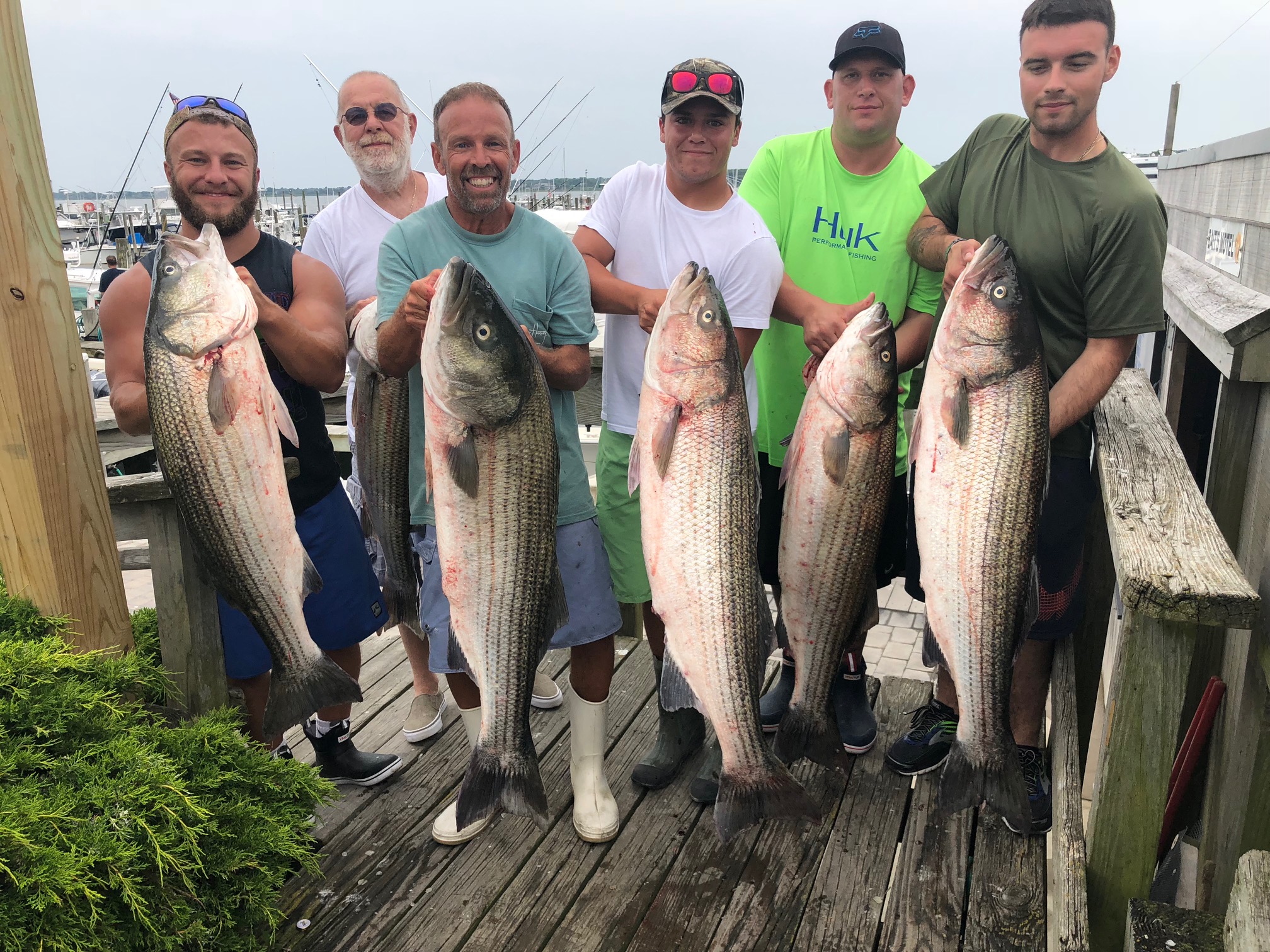 6 striped bass caught in Montauk