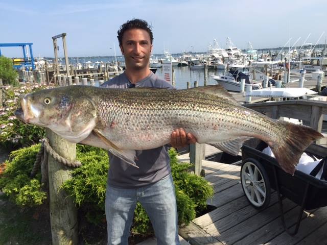 Angler with a big 45-inch fish in Montauk
