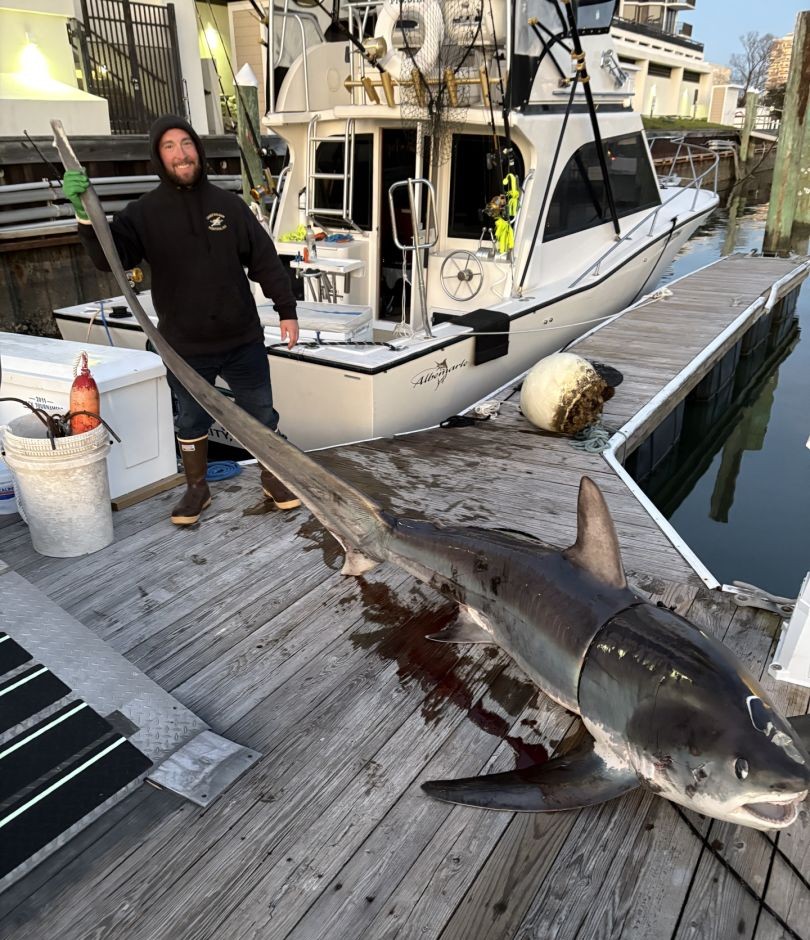 Dusky Smooth-Hound fish caught on fishing trip in VA