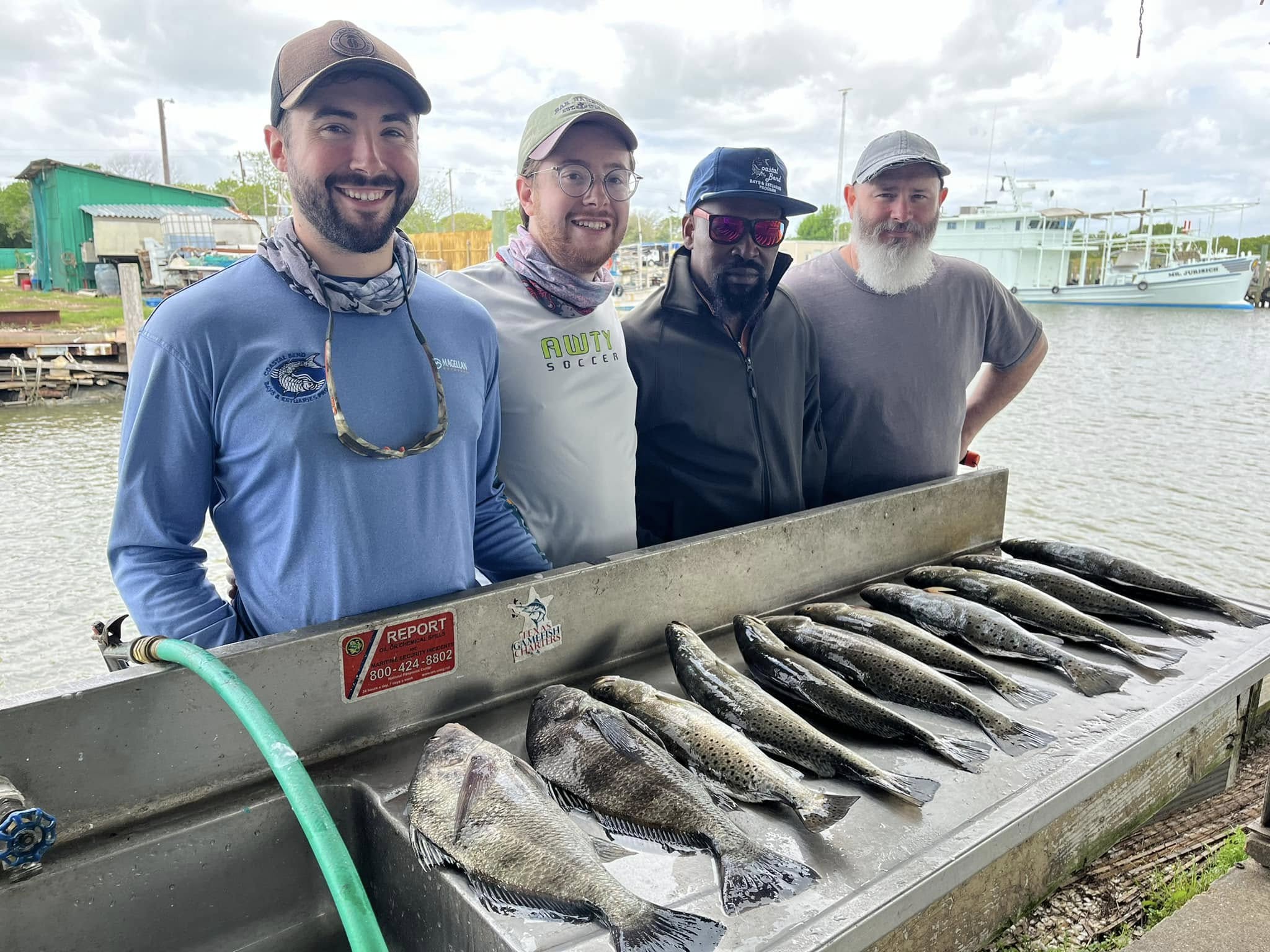 One black drum fish caught in Texas City