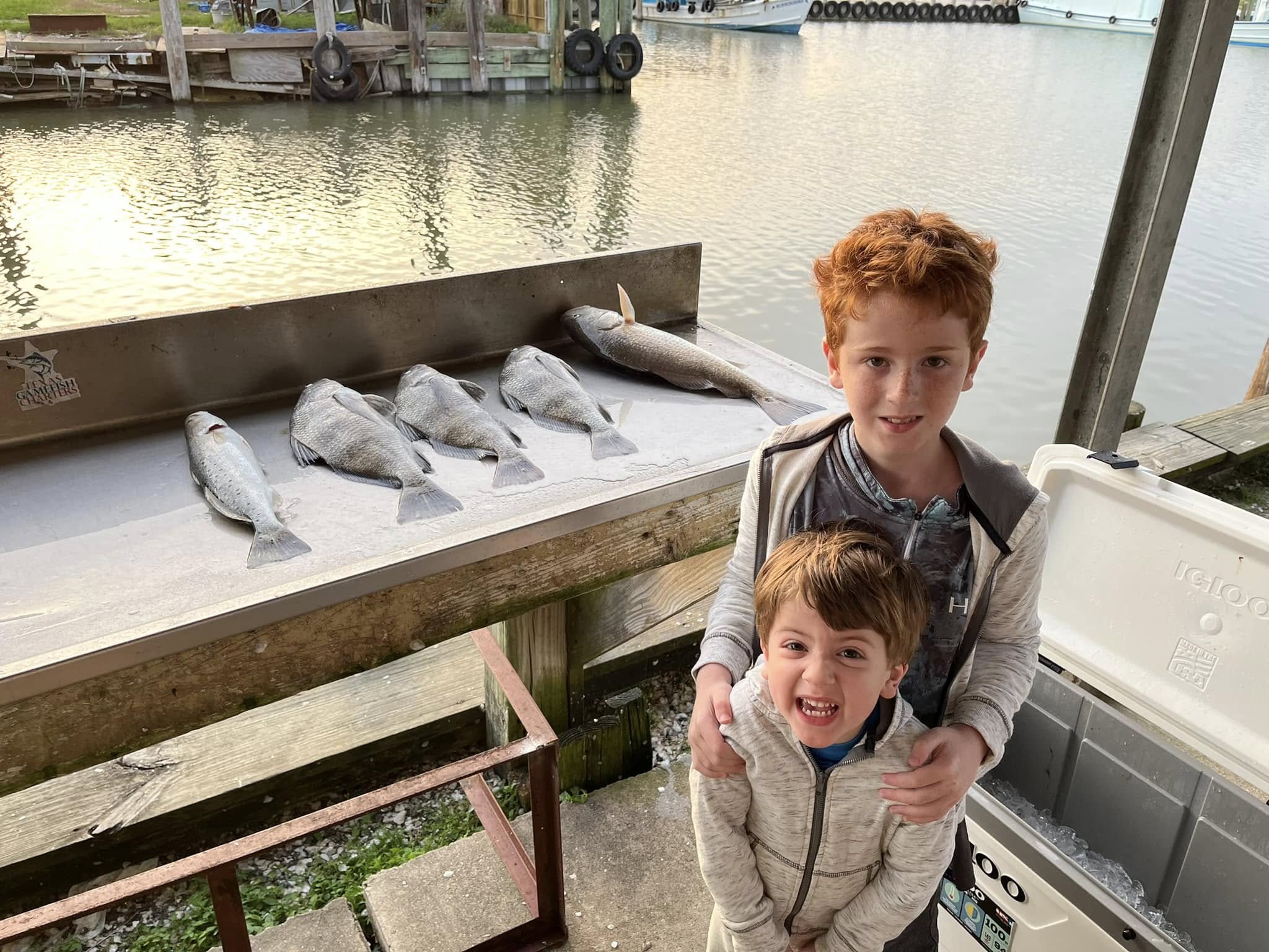 5 black drum fish caught in Texas City