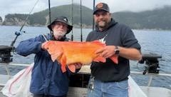 Goldfish caught while fishing in Chugiak Alaska