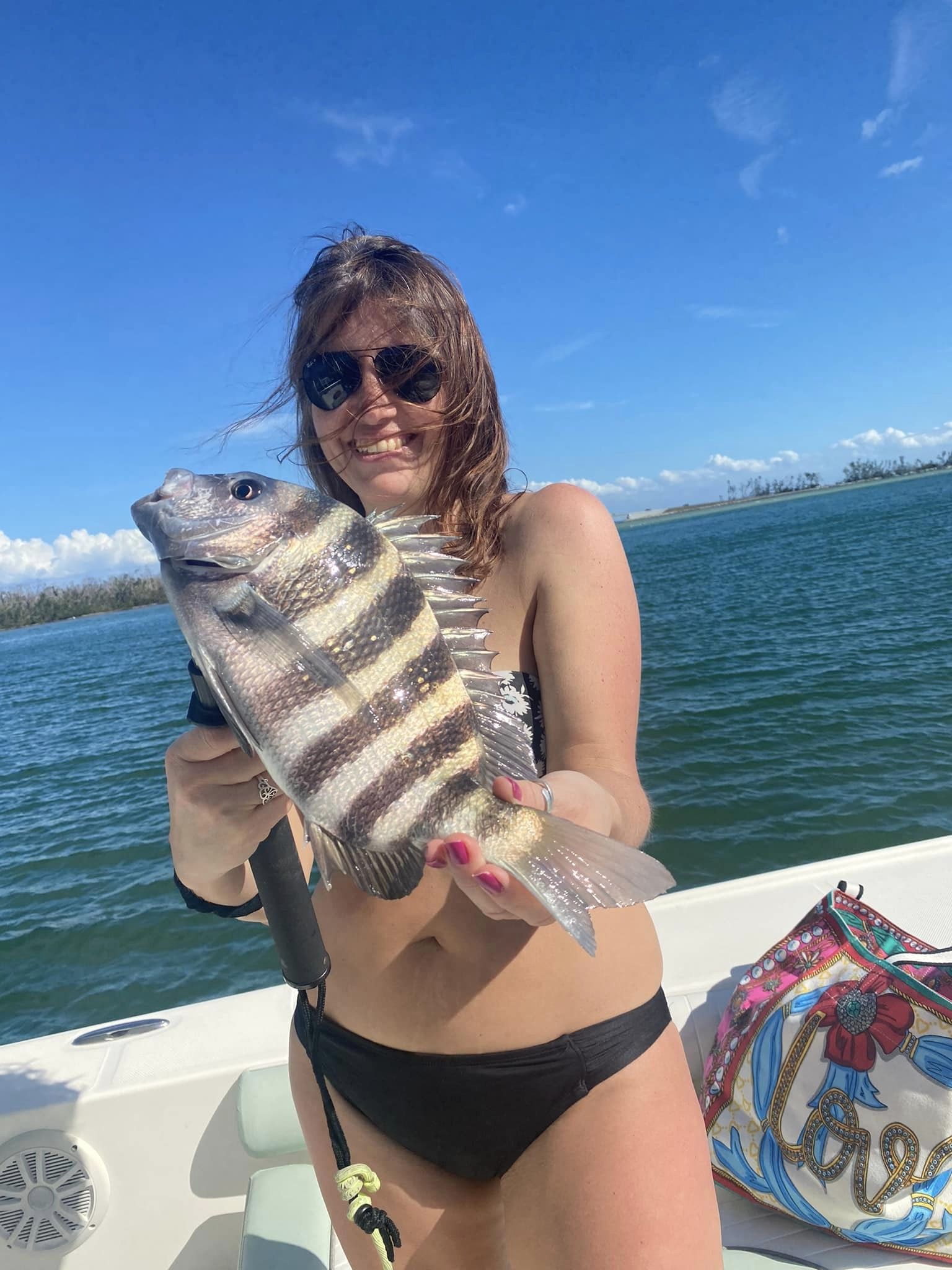 Sheepshead fish caught by one person in Placida