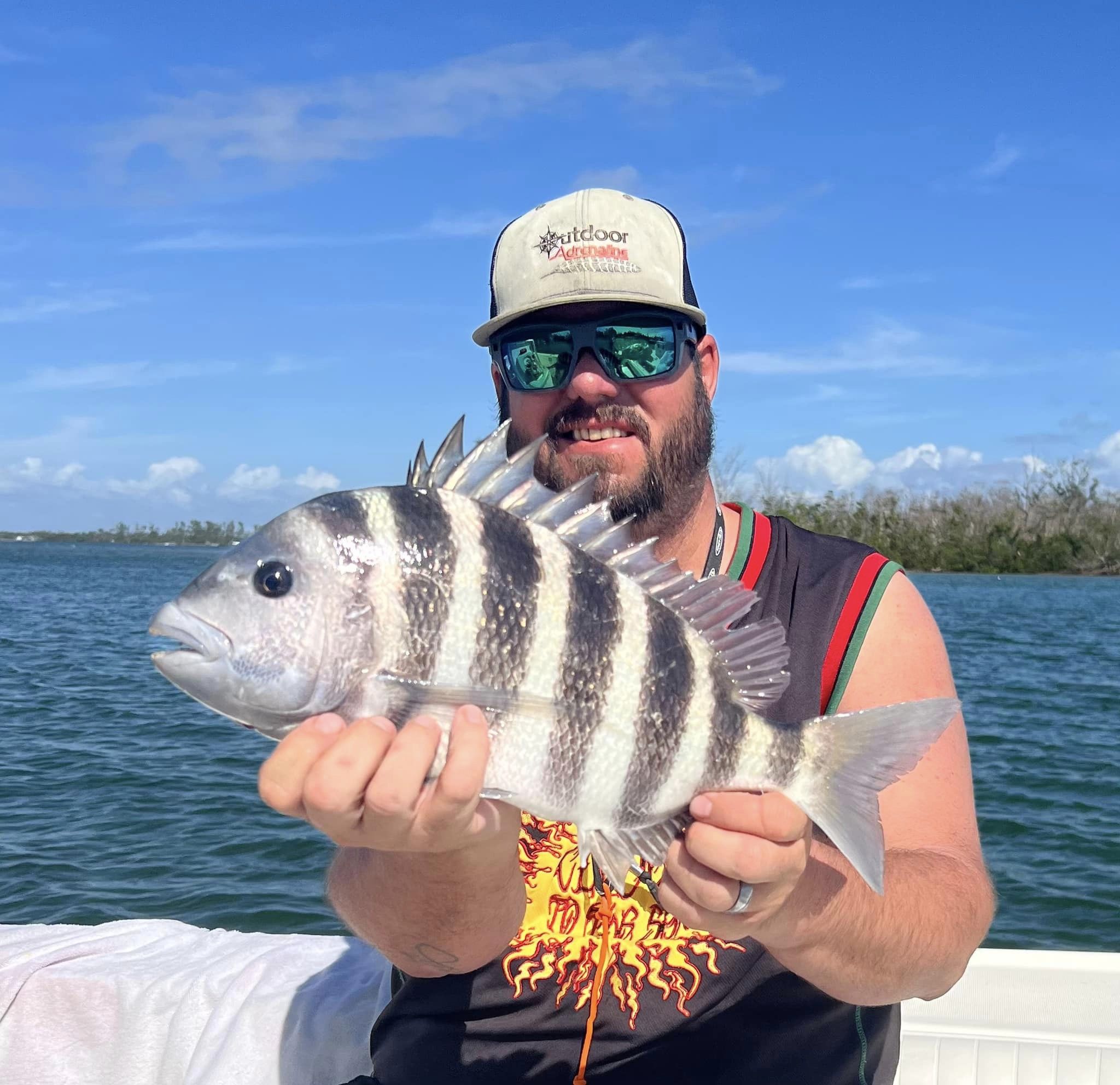 Sheepshead fish caught by angler in Placida