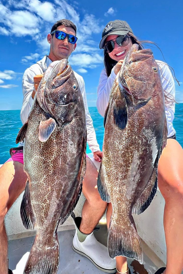 Two black grouper fish being caught by two people in Cudjoe Key