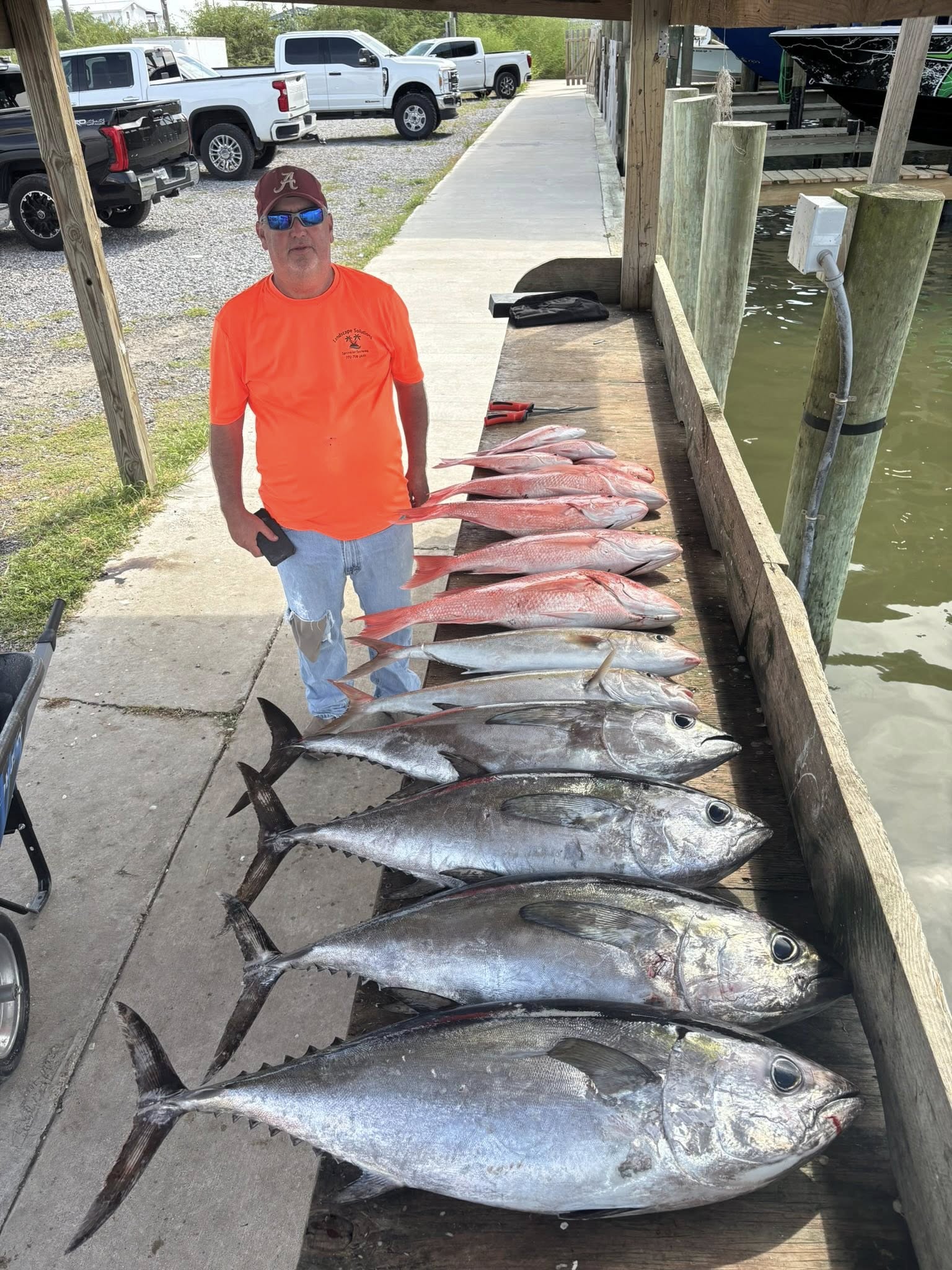 Four Little Tunny, Yellowfin Tuna, and Blackfin Tuna caught while fishing in LA