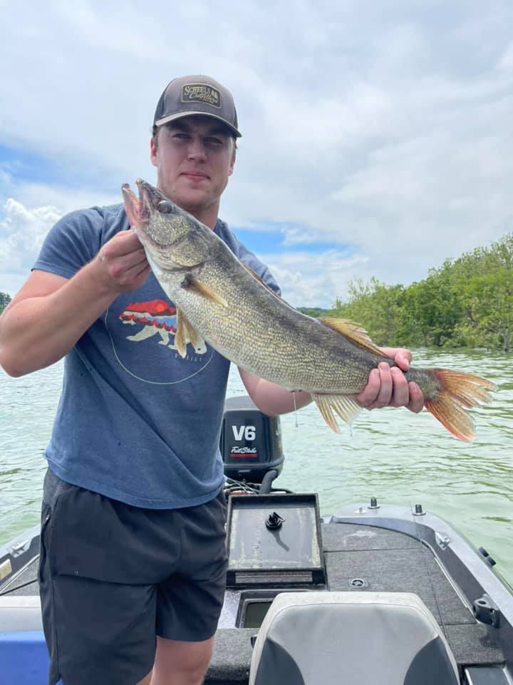 A well-caught walleye fish measuring 15 inches from Missouri