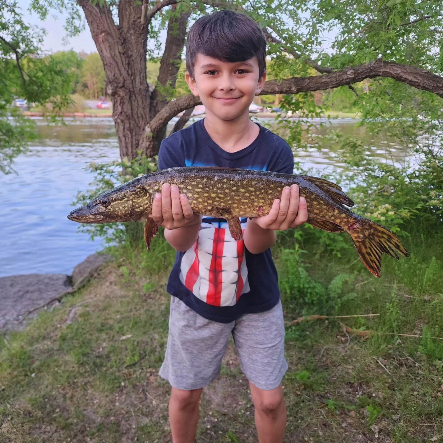 Angler proudly holding a northern pike fish in NY