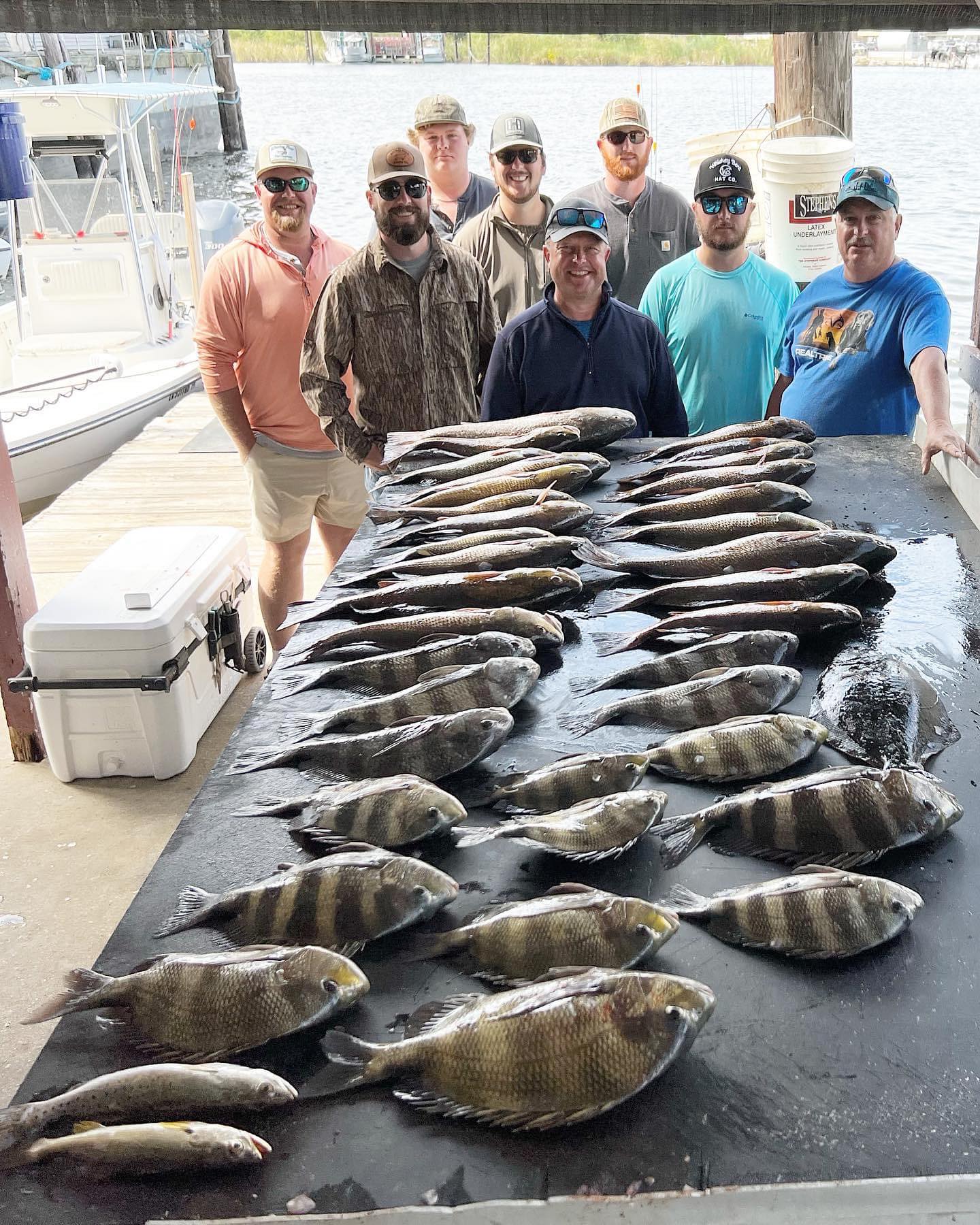 Sheepshead fish caught while fishing in LA