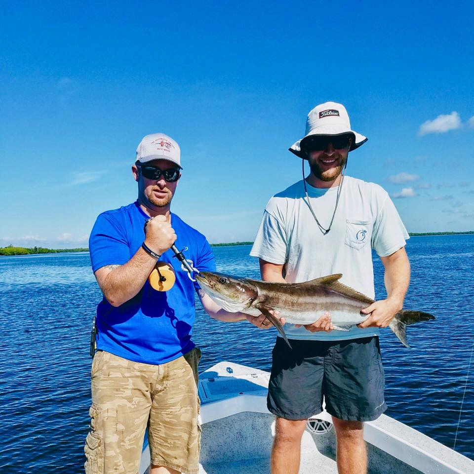 Cobia fish caught in FL