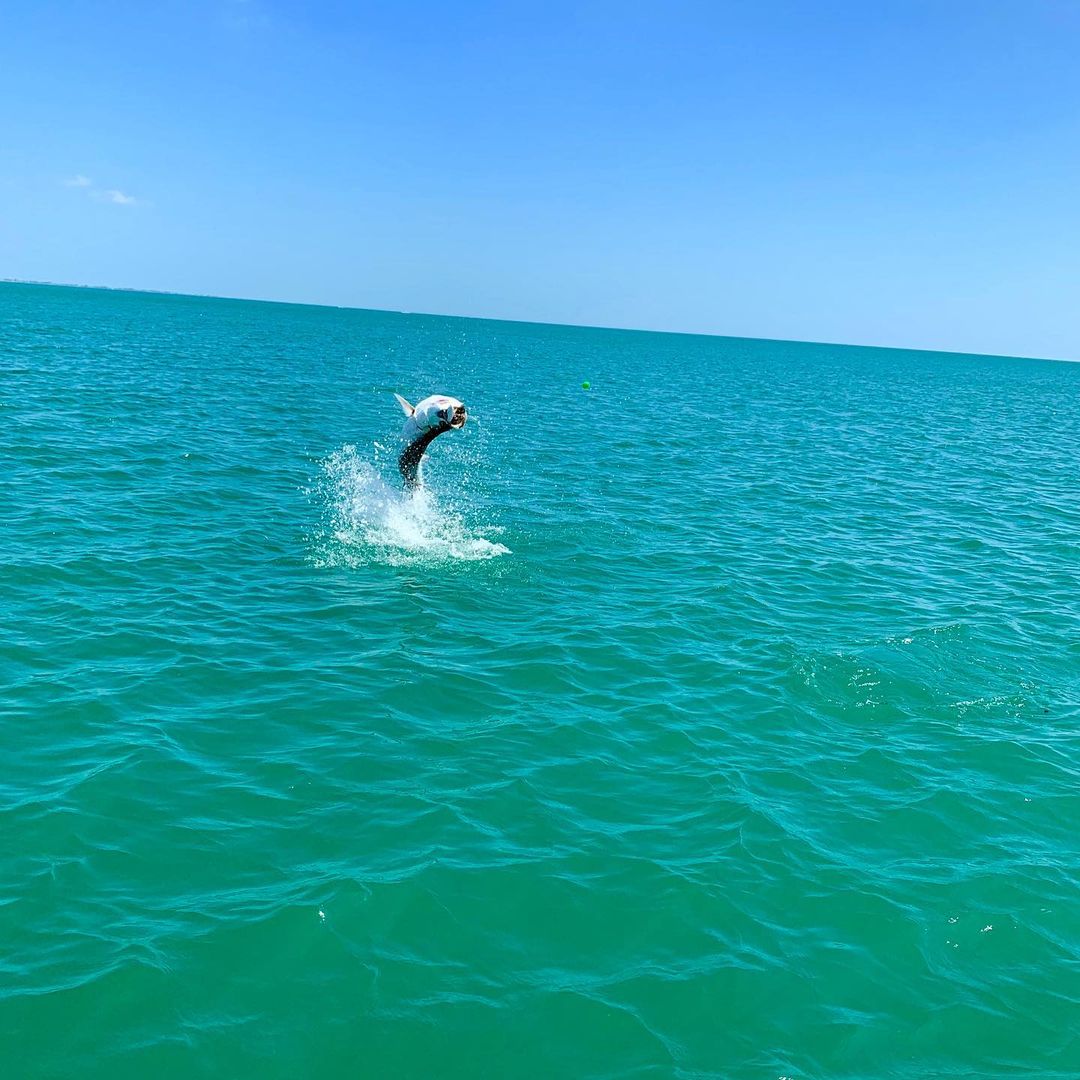 One fish caught in FL