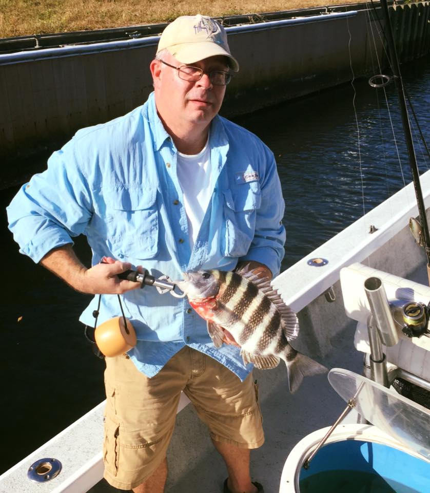 Sheepshead fish caught in Placida