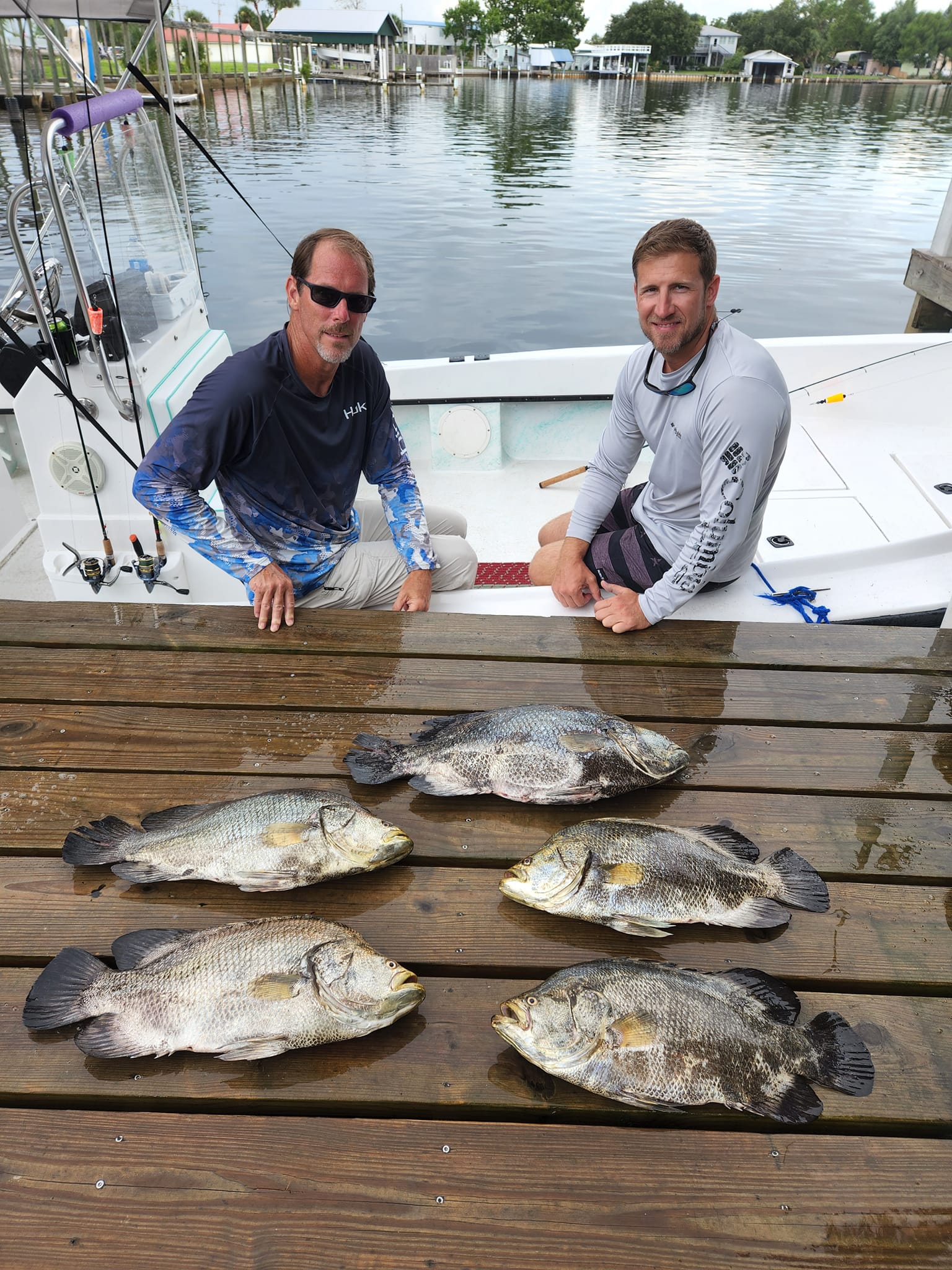 Five tripletail fish caught during a fishing trip in Old Town
