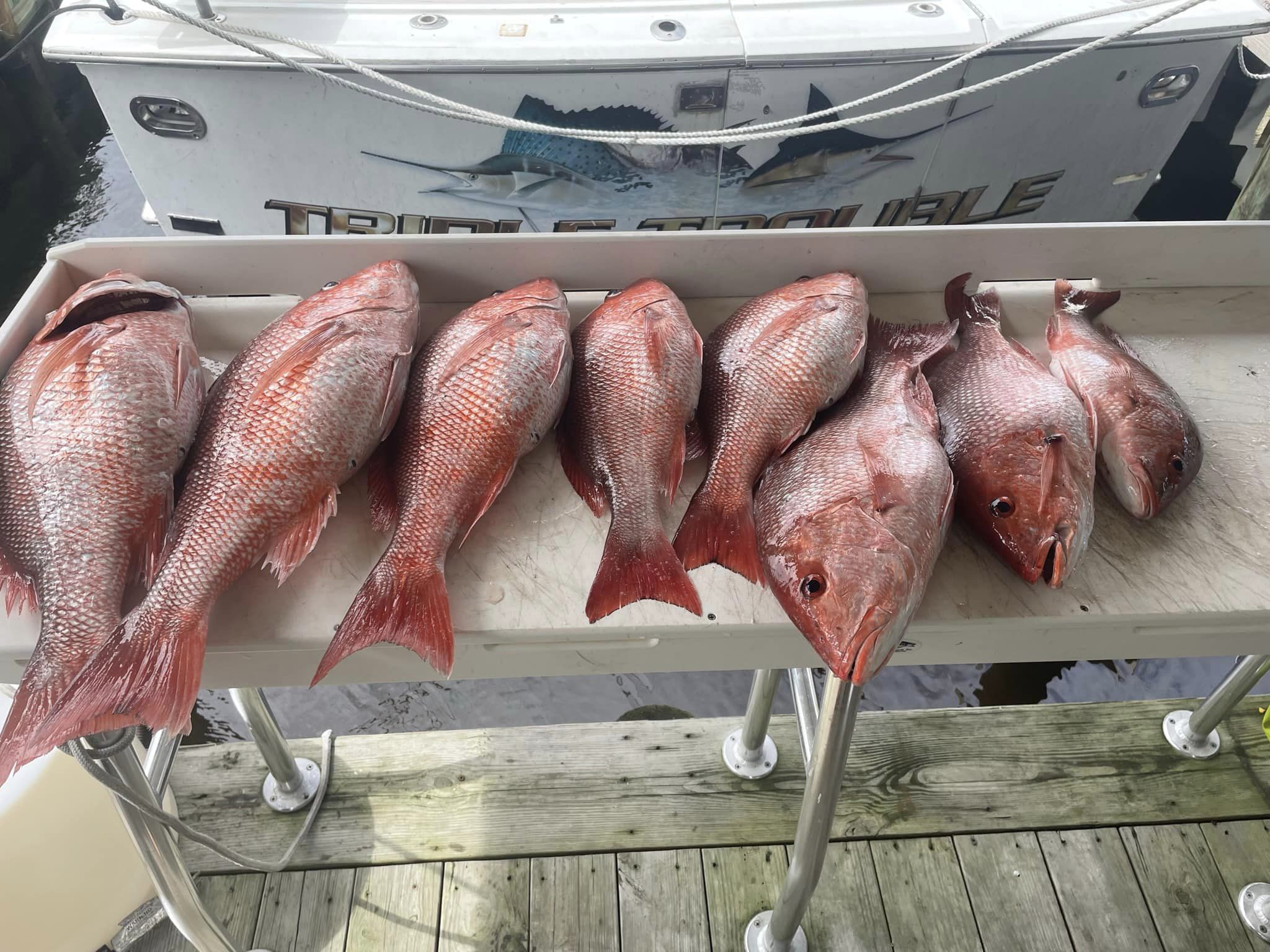 6 fishing in AL