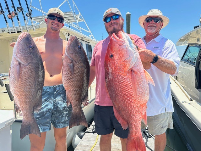 3 large fish caught by 3 people fishing at Orange Beach