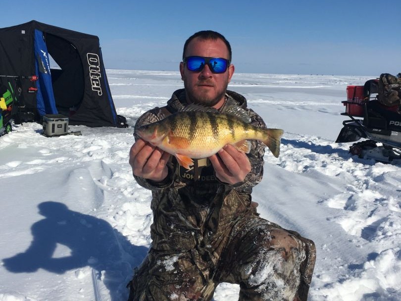 Angler holding an American Yellow Perch fish in MI