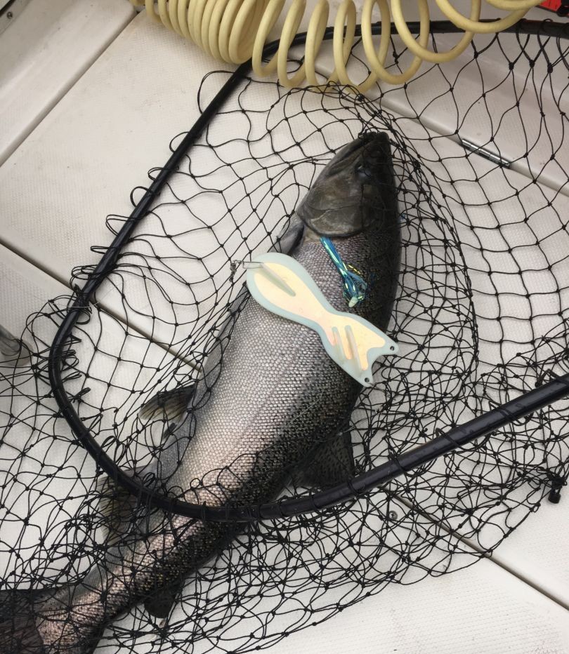 Best fishing in MI