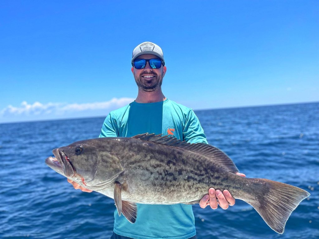 Gag grouper, a 39-inch fish, caught in FL
