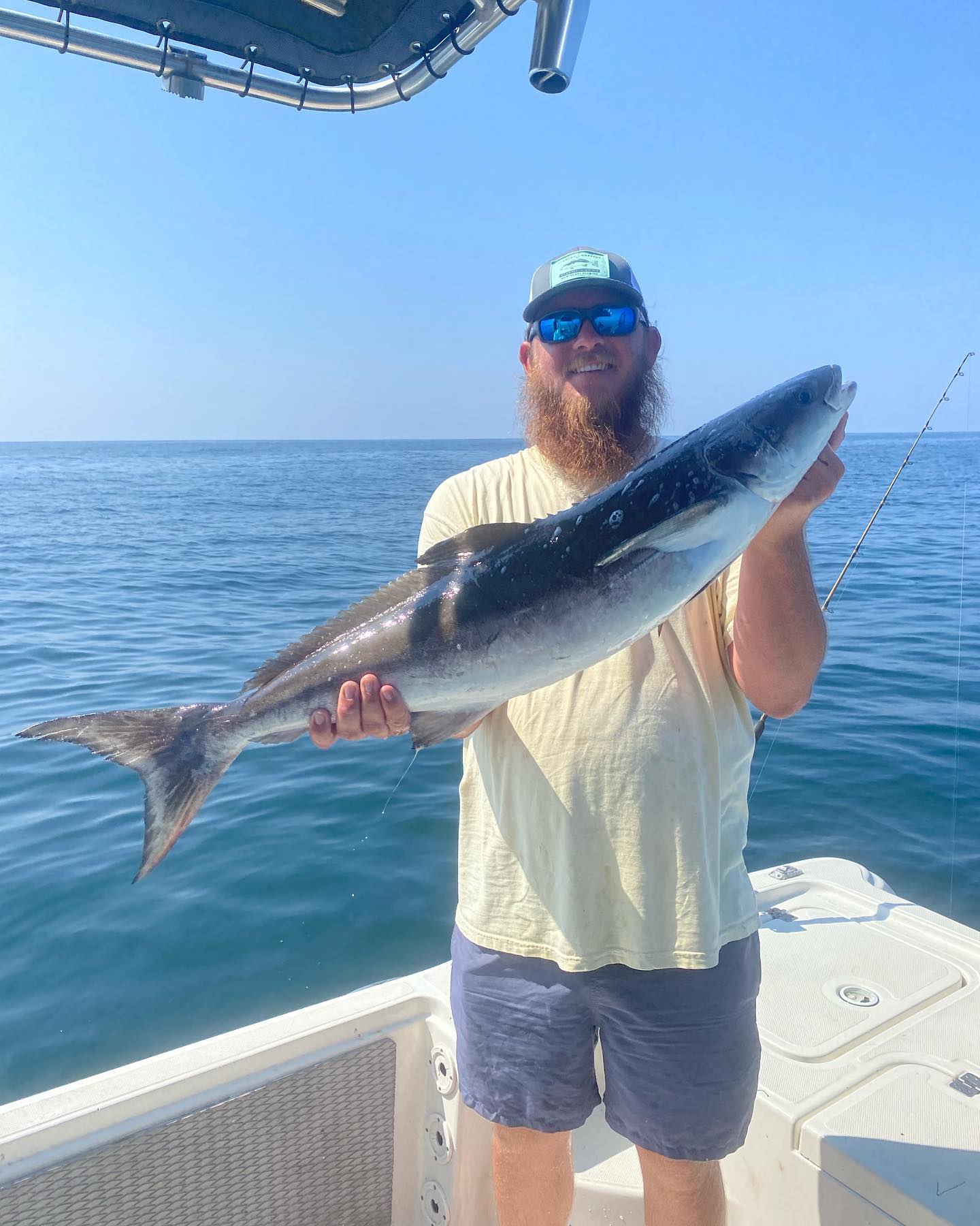 Cobia fishing in FL