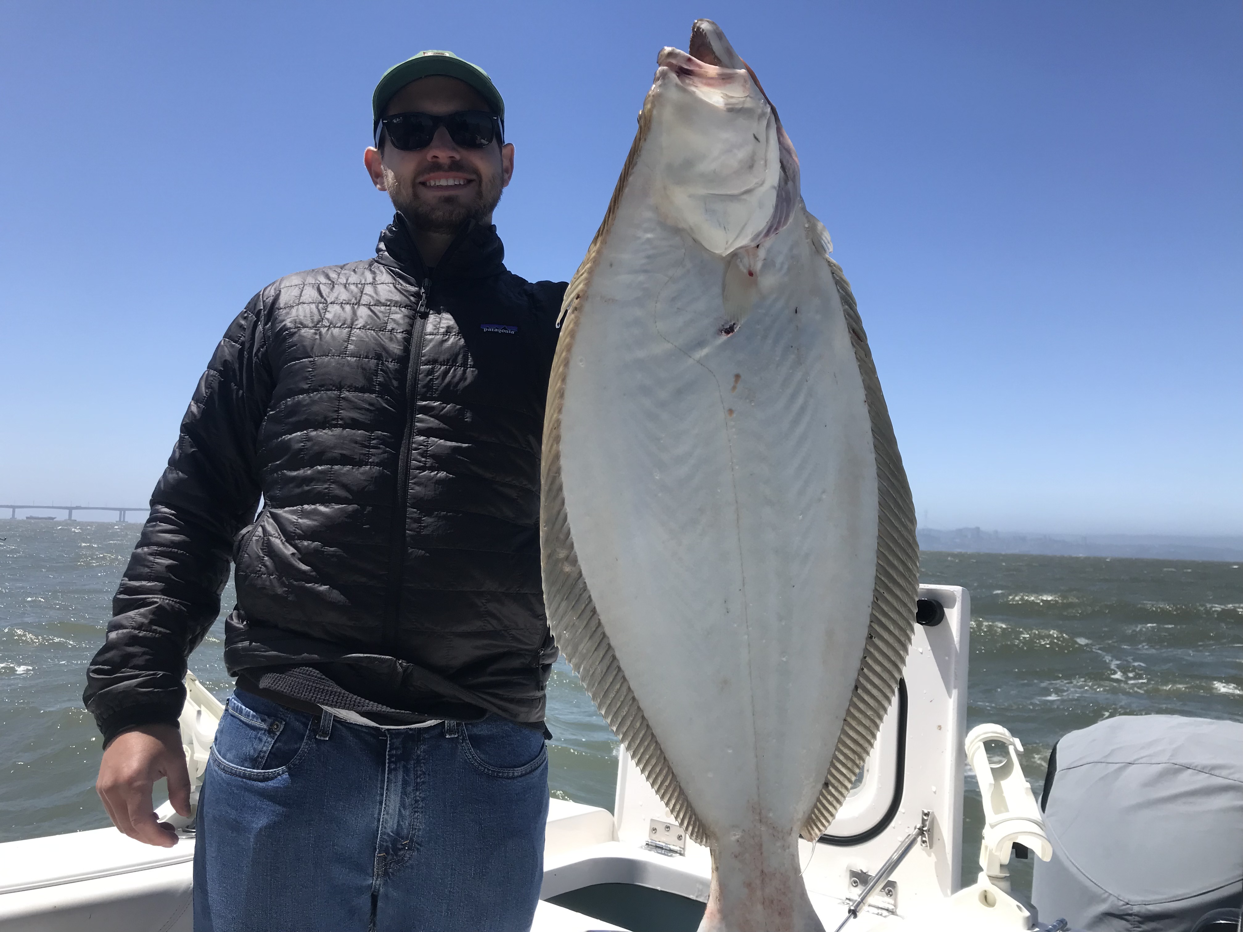 California flounder catch on fishing boat in Berkeley CA waters