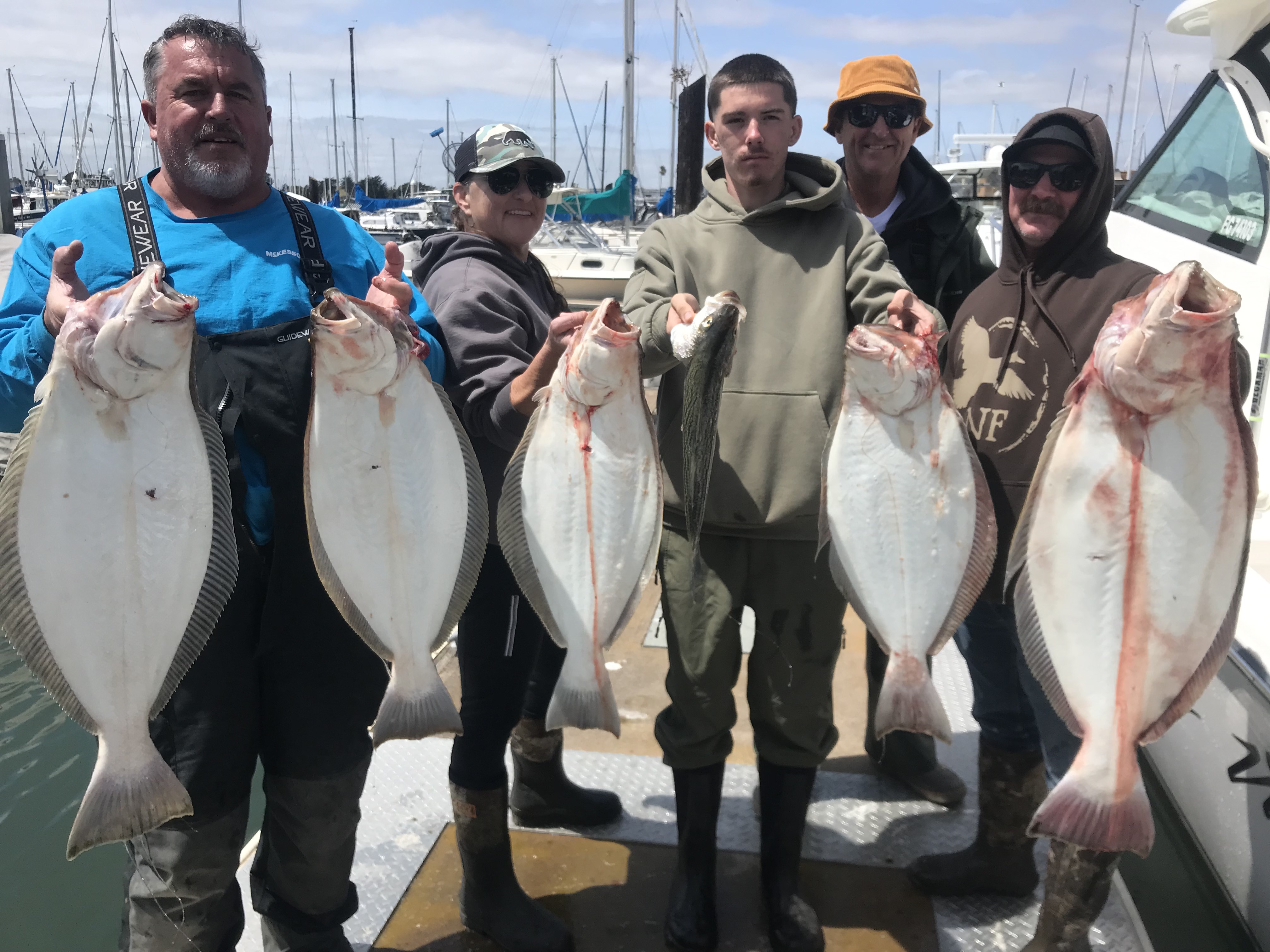 Five California flounder caught during fishing trip in Berkeley CA displayed at marina
