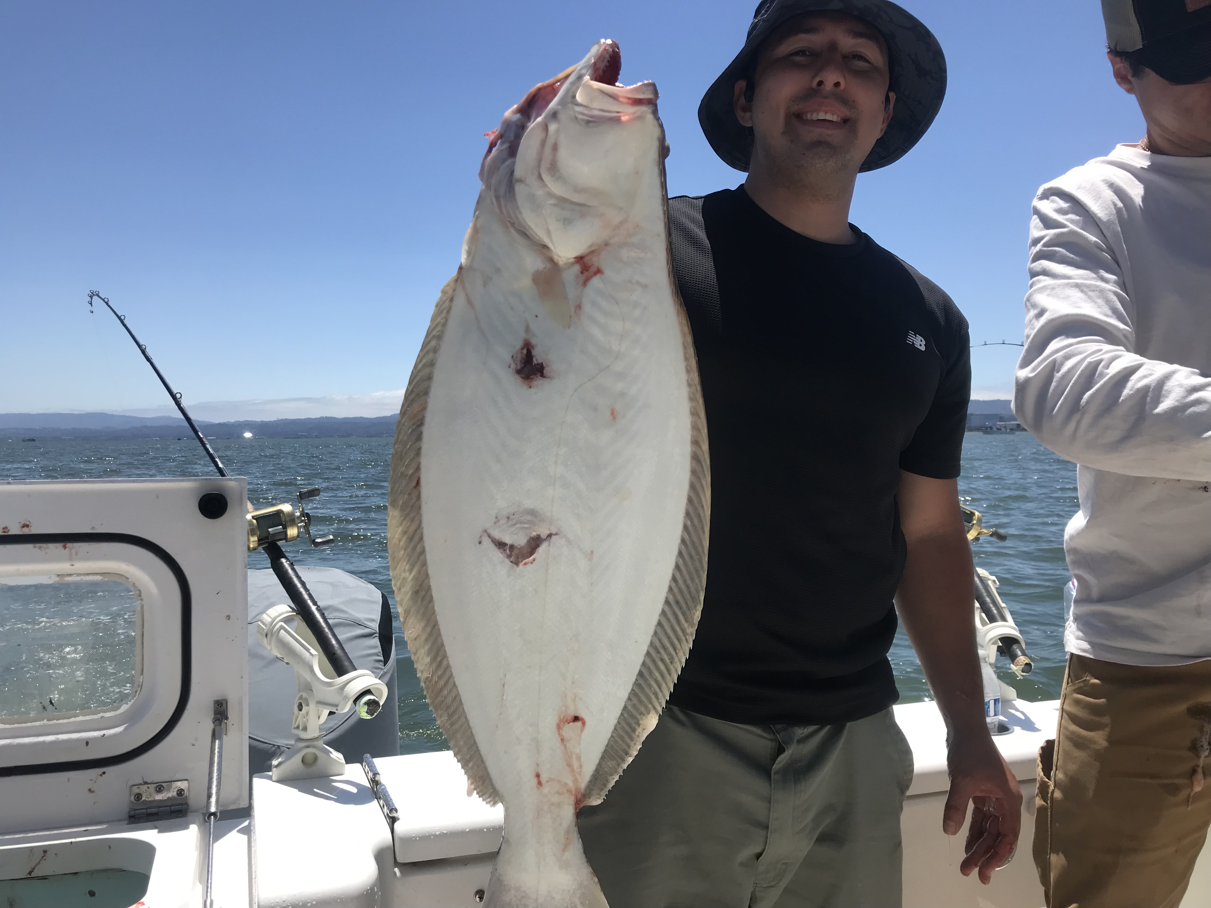 California flounder caught fishing in Berkeley CA waters displayed on boat deck