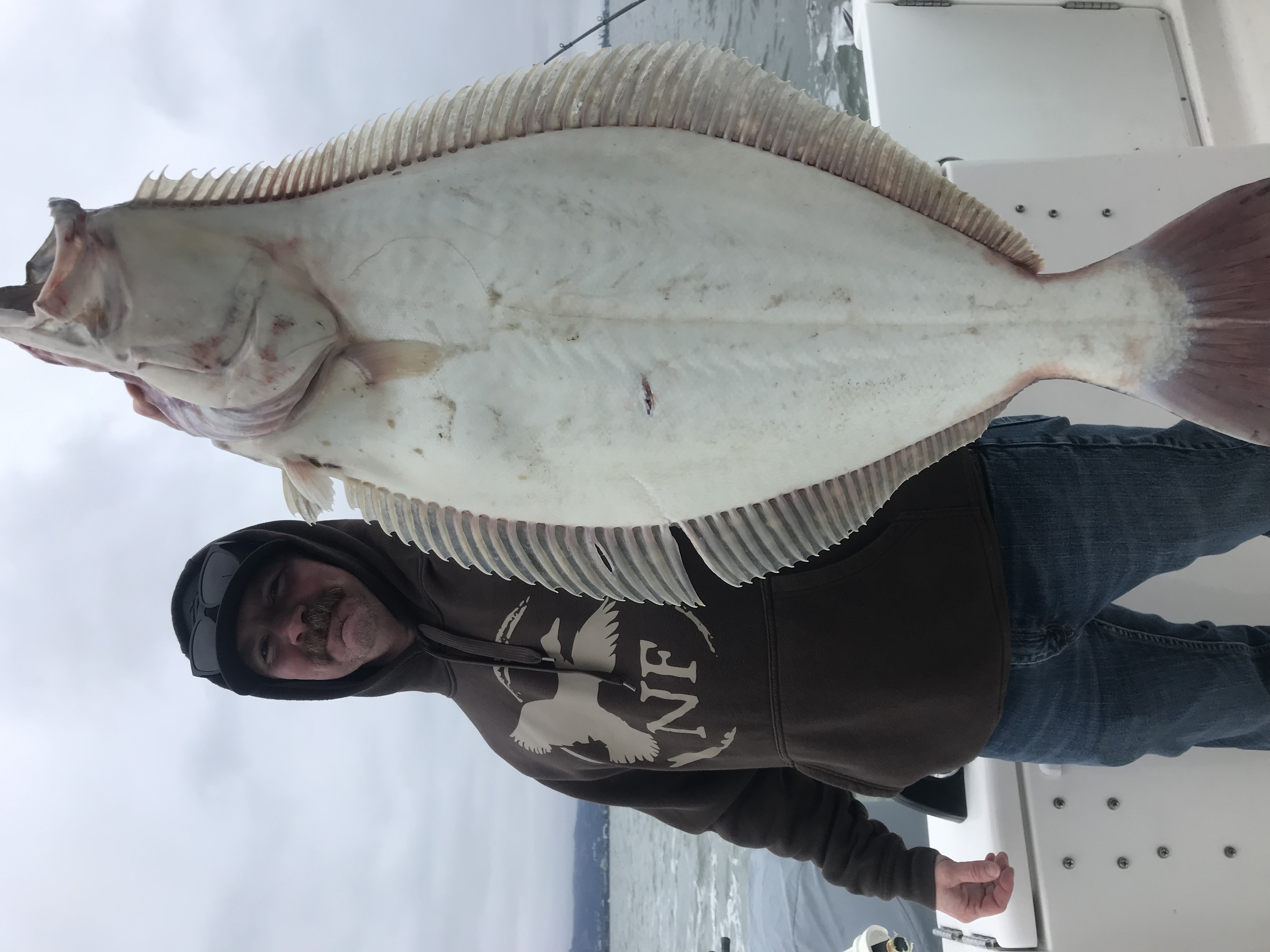 California flounder catch displayed on fishing boat in Berkeley CA
