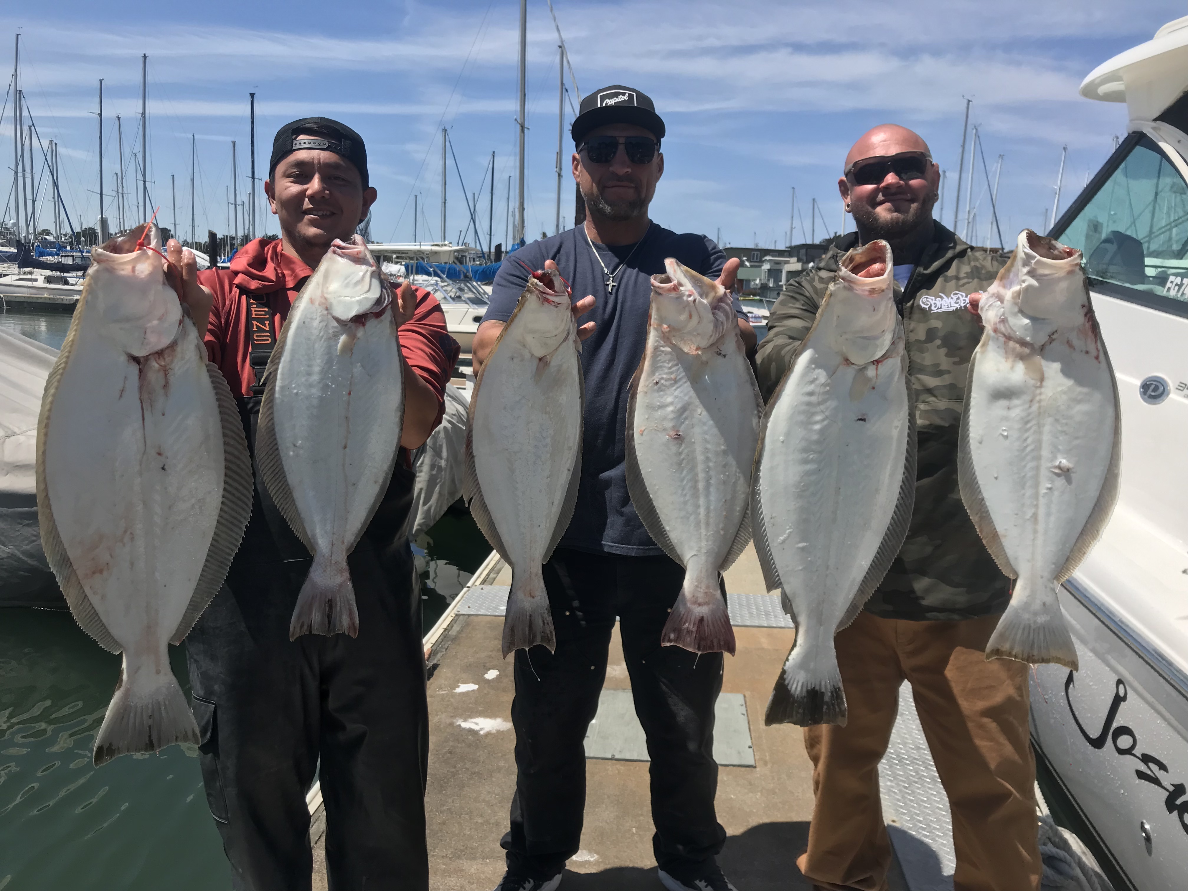 Six California flounder caught during fishing trip in Berkeley CA displayed at marina dock