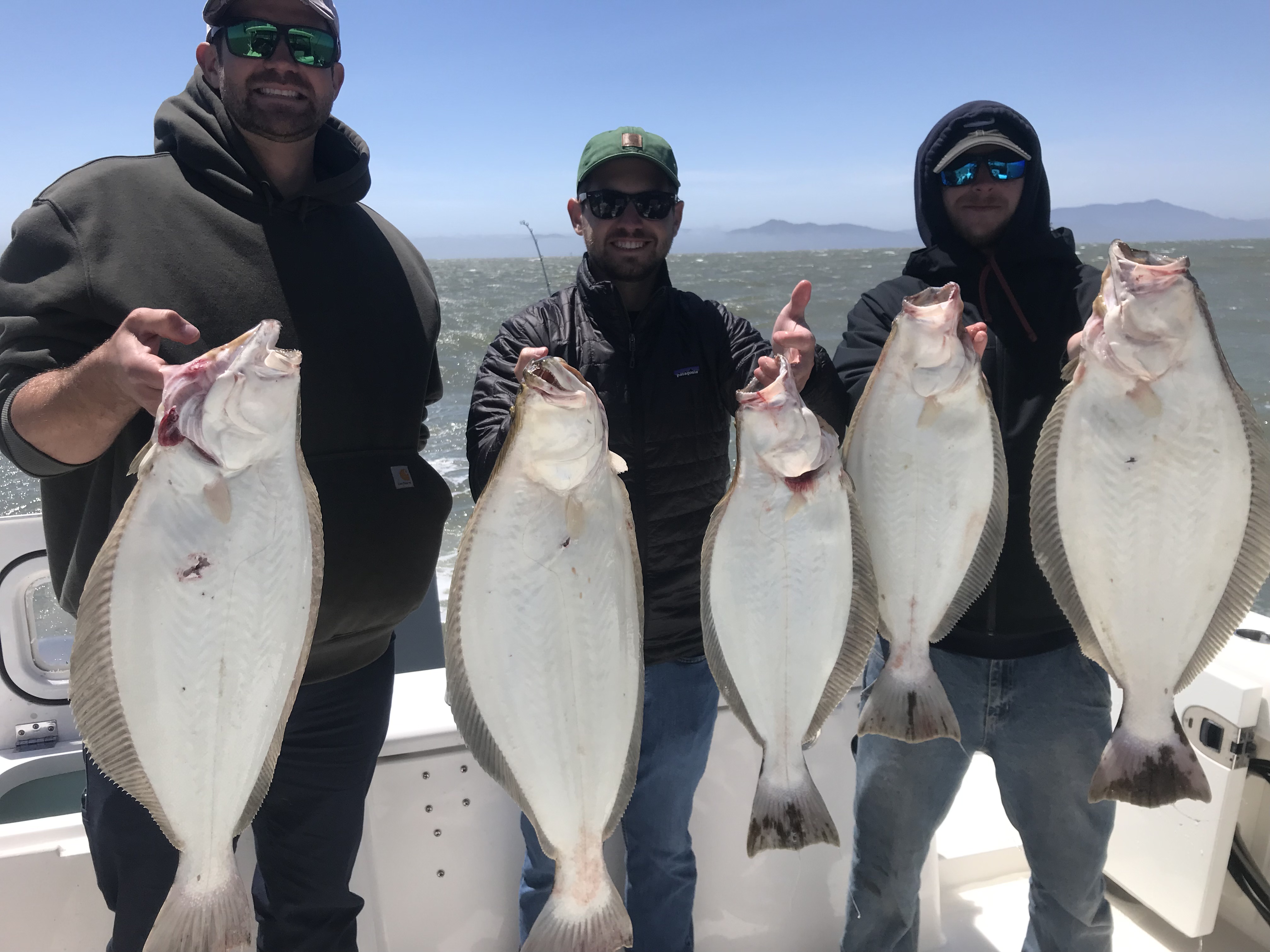 Five California Flounder caught during fishing trip in Berkeley CA