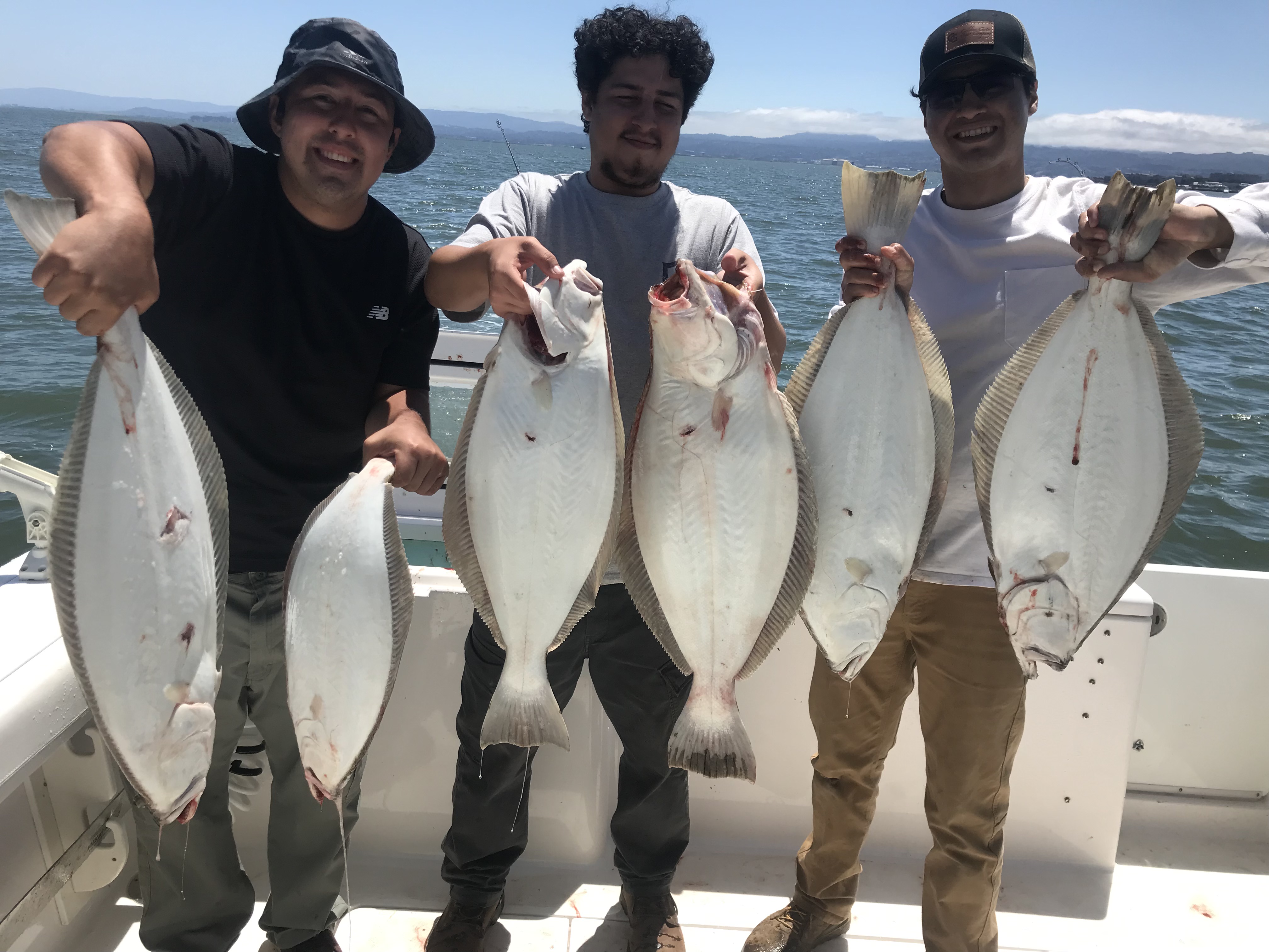 Successful California flounder fishing trip in Berkeley CA with six flatfish caught