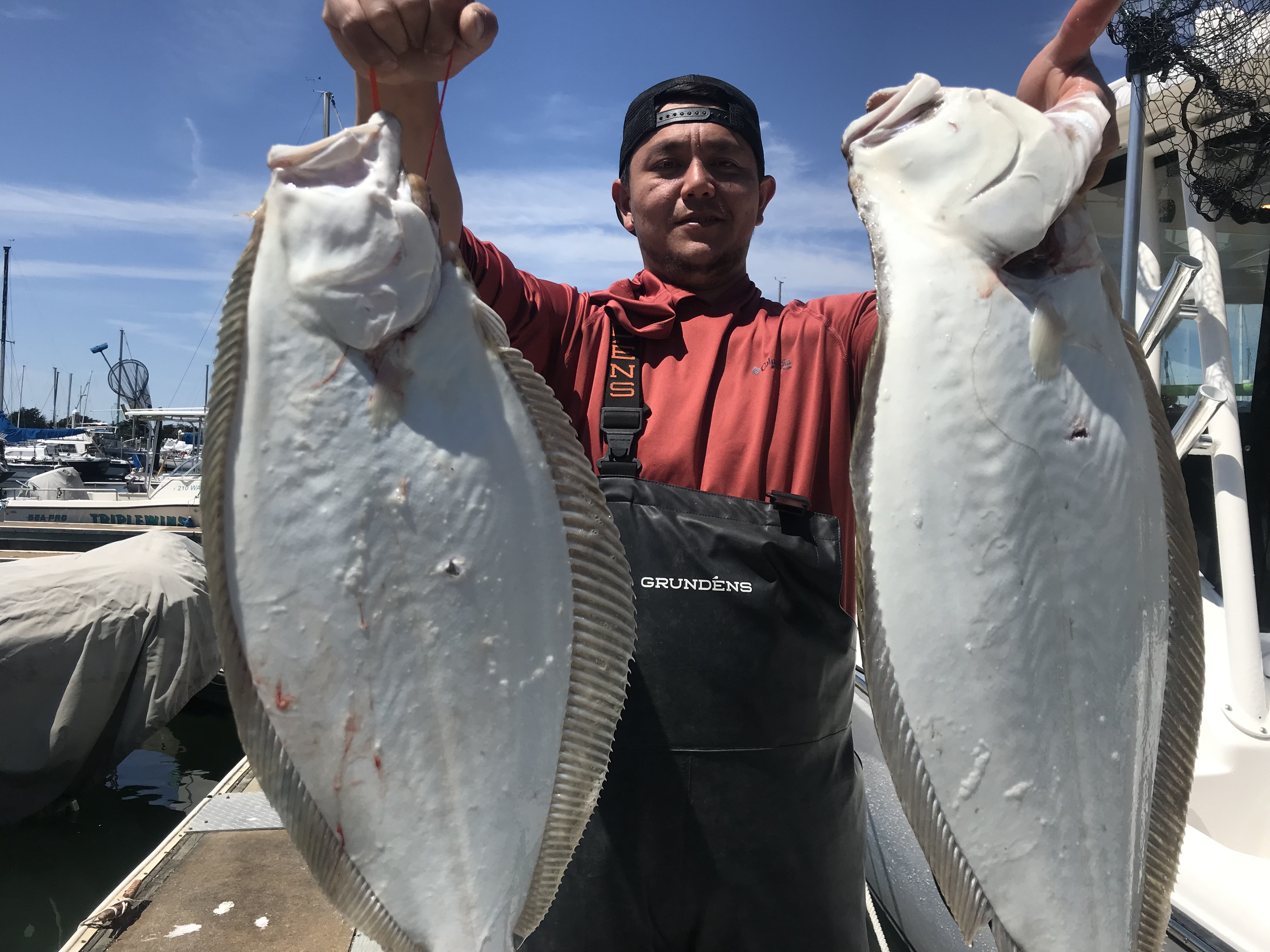 Two large California Flounder caught during fishing trip in Berkeley CA
