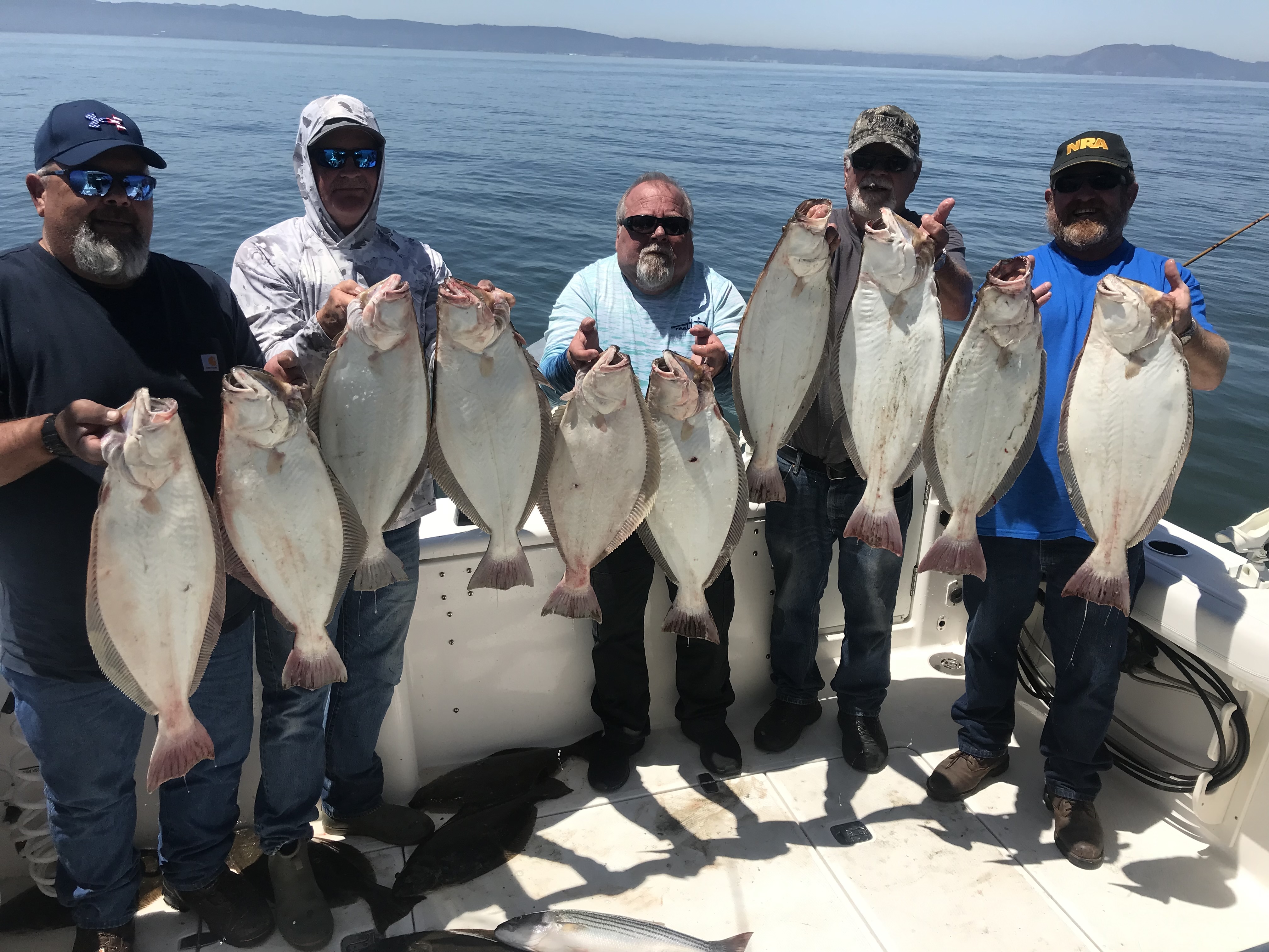 Private halibut and striped bass fishing charter in San Francisco Bay near Golden Gate Bridge