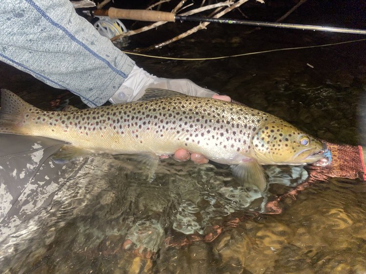 One fishing trip in MI