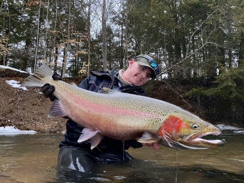 Caught a beautiful pink salmon while fishing in MI