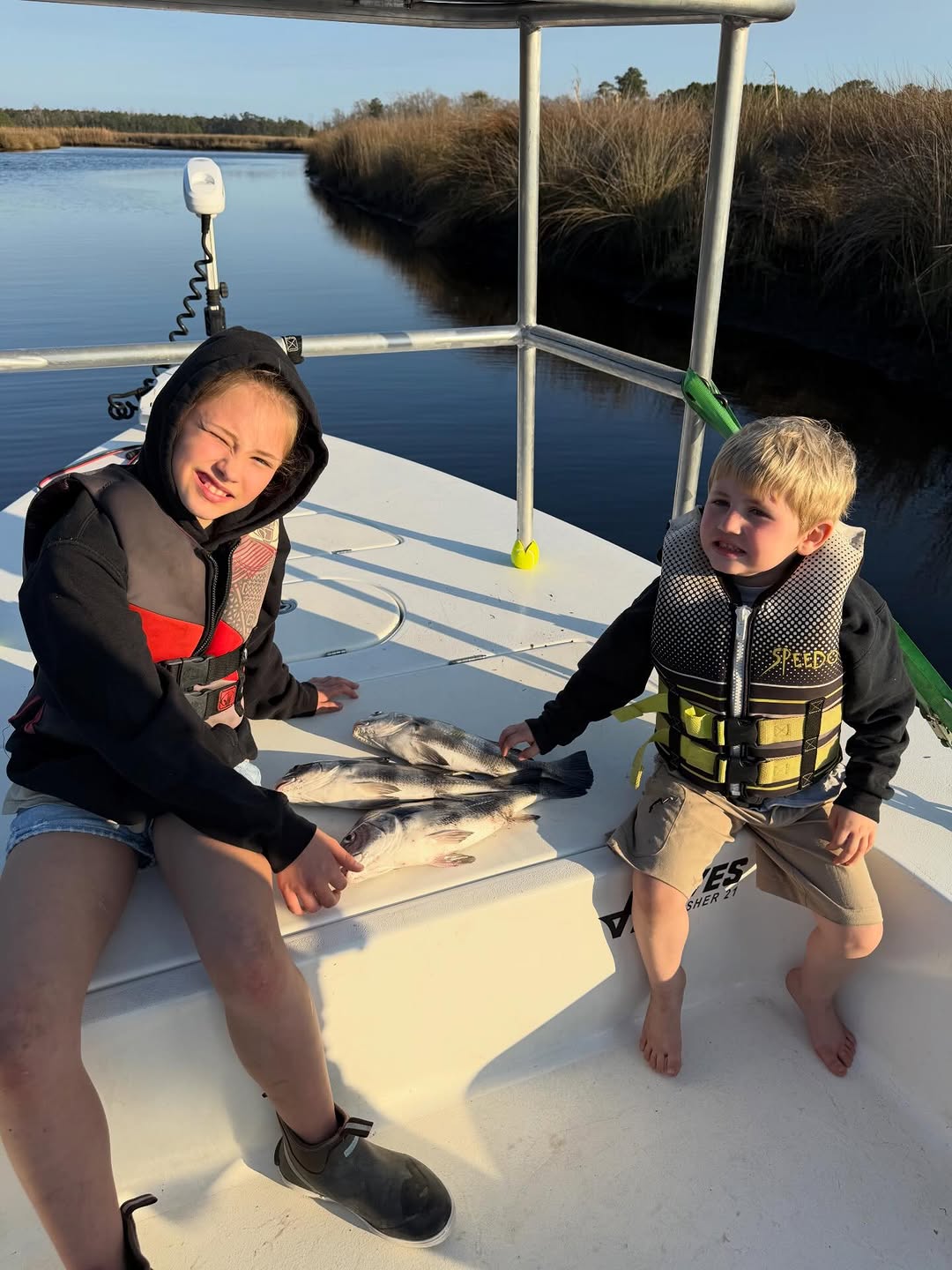 Black drum fishing catch on boat deck in Cedar Point NC waters with marsh grass background