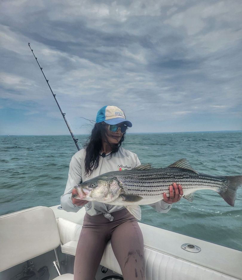 Striped bass caught in Wareham