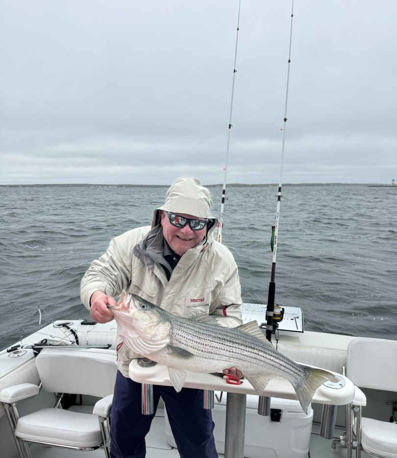 A striped bass caught while fishing in Wareham