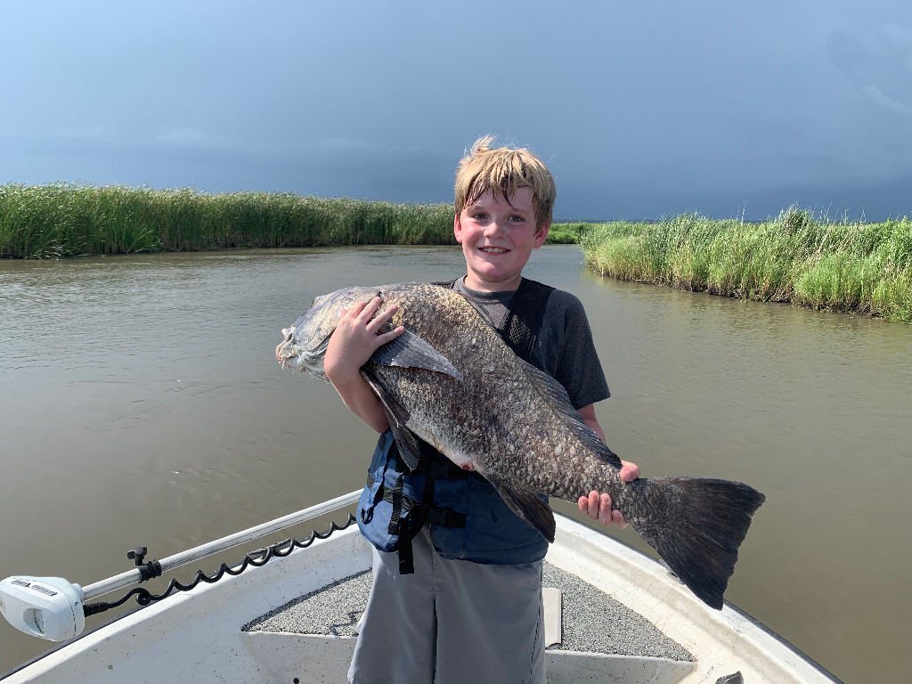 A black drum fish caught in Slidell