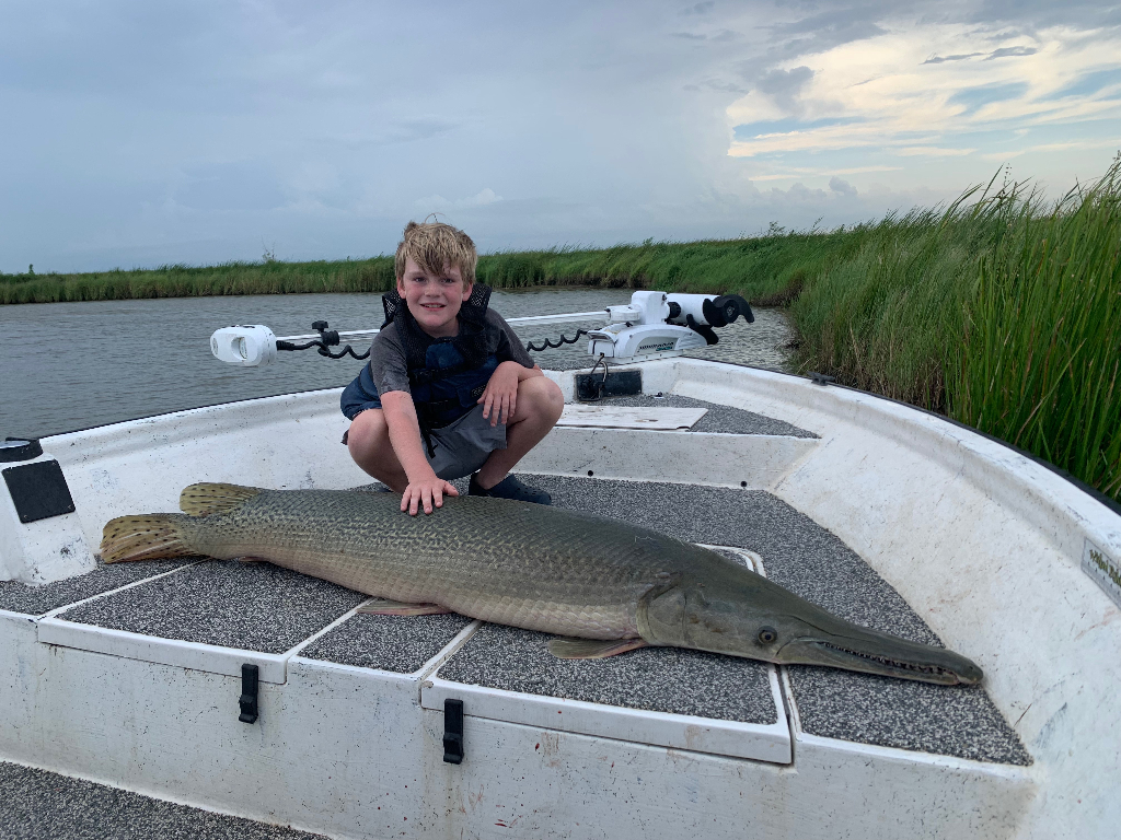 Longnose gar, 62 inch fish, caught in Slidell
